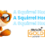 A SH24 é Bitrix24 Gold Partner e reconhecida pelo profundo conhecimento, assessoria, suporte e experiência com o Bitrix24