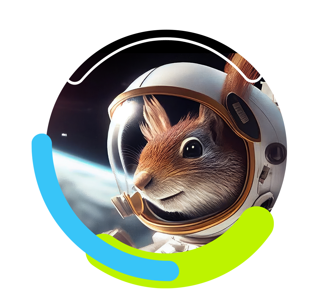 Distribuidora Oficial Bitrix24